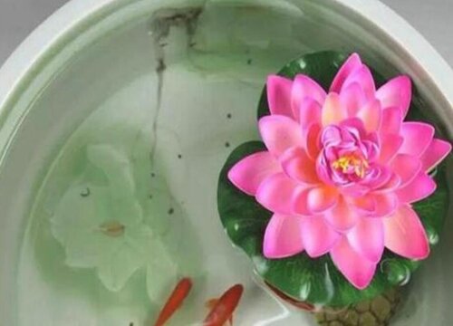碗莲怎么移植