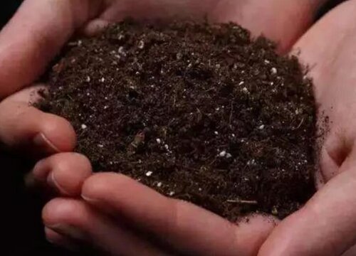 自己在家怎么配置植物营养土（营养土配置常用原料有哪些）