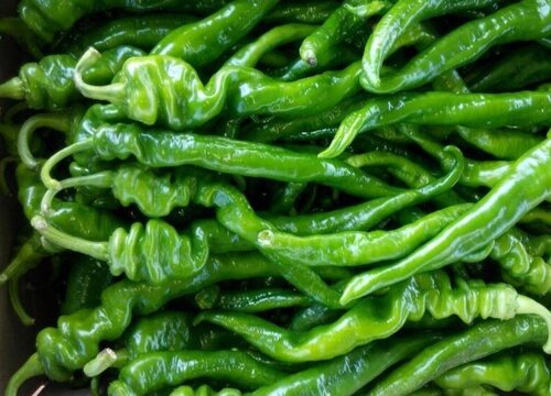 螺丝椒的种植方法和时间 栽培技术及条件
