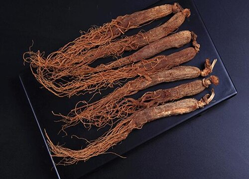 人参种植技术与栽培管理 人参种子怎么种植几月份下种