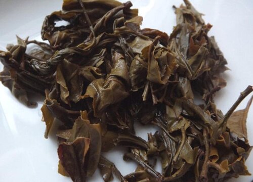 废茶叶可以做肥料吗