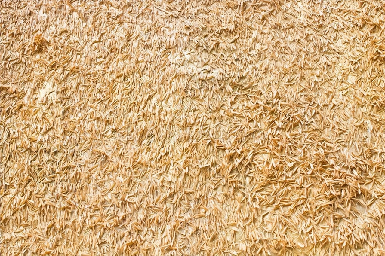 米糠可以拿来种花吗（米糠煮熟发酵能放进花盆里种花吗）