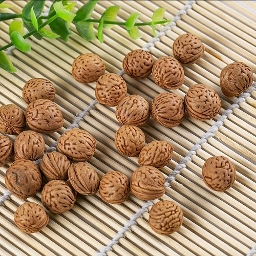 桃核怎么发芽 种子怎么种植才能发芽快