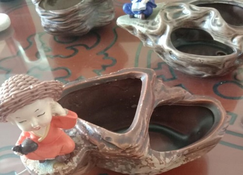 组合花盆适合养什么花