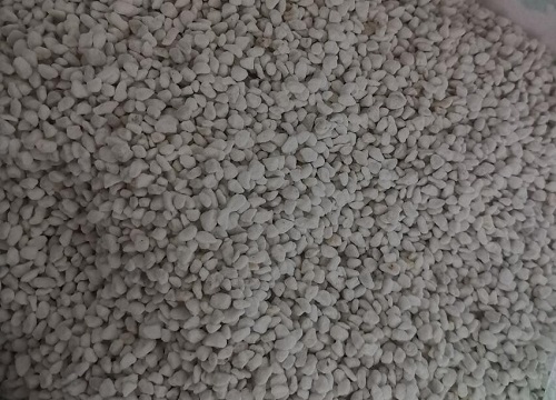 珍珠岩适合养什么花