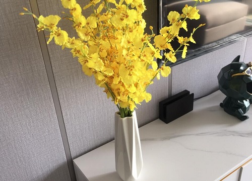 长花瓶适合养什么花