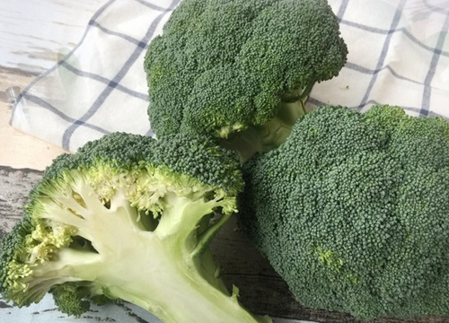 西兰花种植时间与生长周期