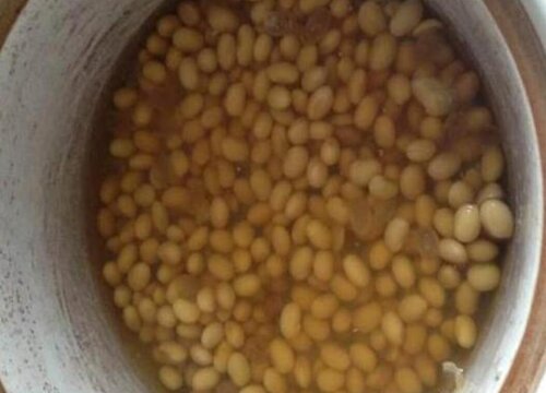 发酵的黄豆水适合浇什么花