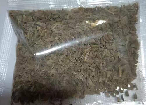 胡萝卜种子怎么种植