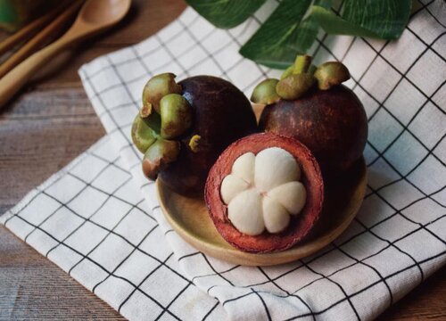 山竹生长环境条件及特点