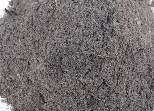 柴火灰可以种多肉吗