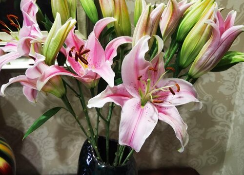 家里可以种百合花吗