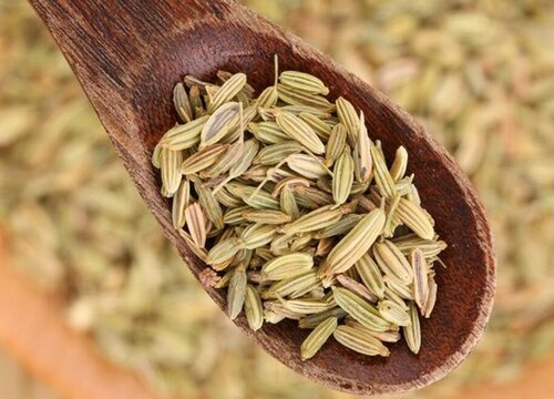 小茴香种子什么时候种植最好