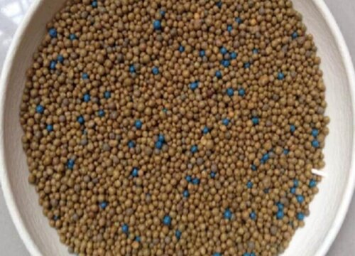 月季追肥用什么肥料好